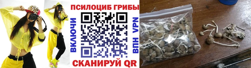 Галлюциногенные грибы Magic Shrooms  кракен ССЫЛКА  Лодейное Поле 